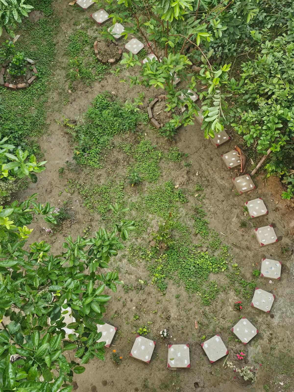 Swarna's Homestay — aerial view of garden pathway with stepping stones and lush greenery